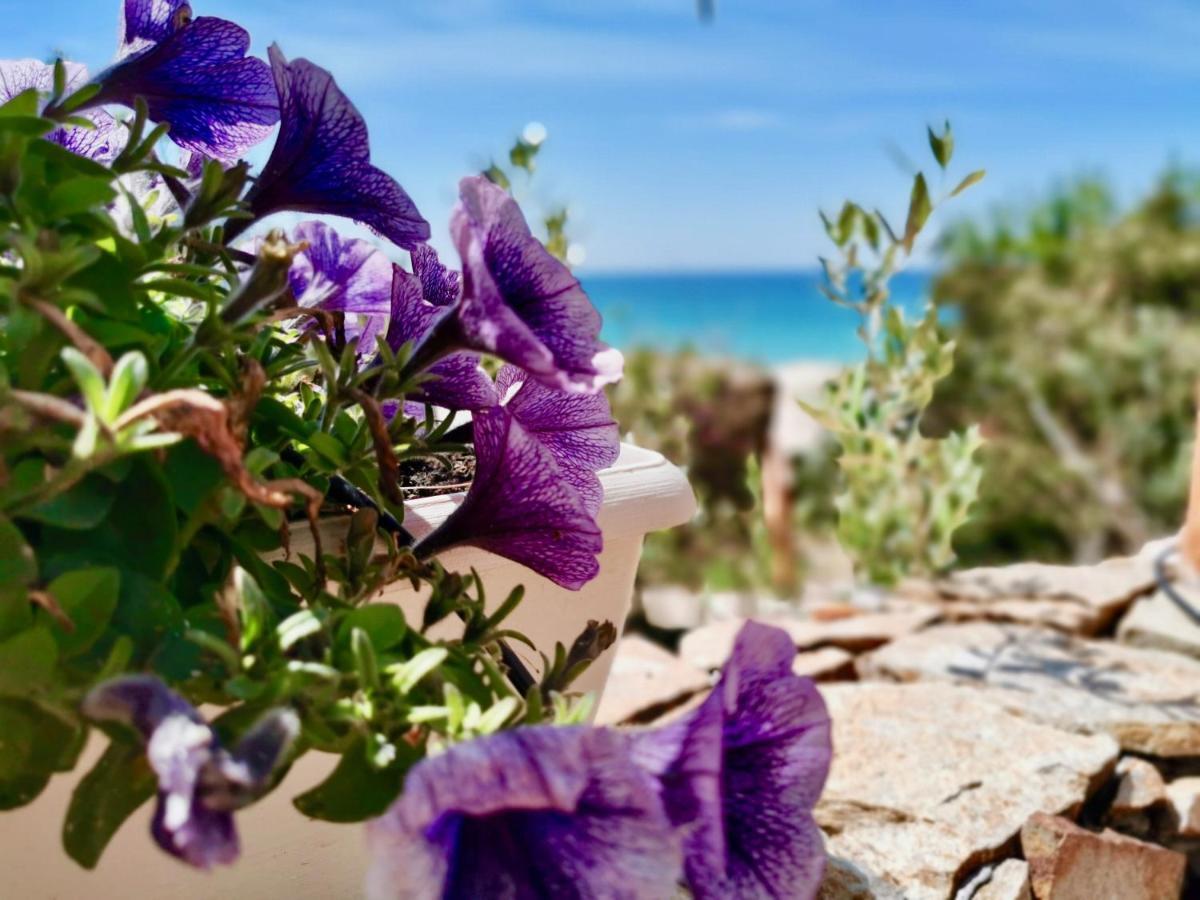 Beachfront House Geremeas Sardegna 아파트 외부 사진